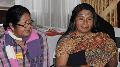 Observaciones al Proyecto de Ley de Prevención y Erradicación de la Violencia contra la Mujer